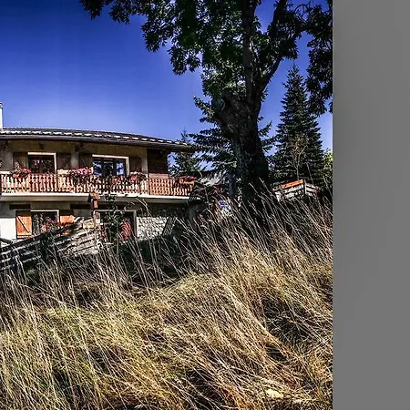 La Providence Bed and Breakfast